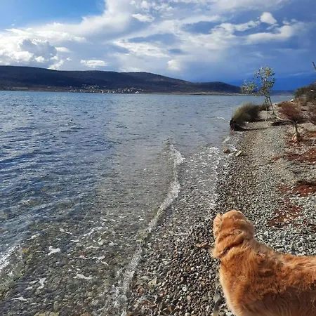 Apartamento Amanda C