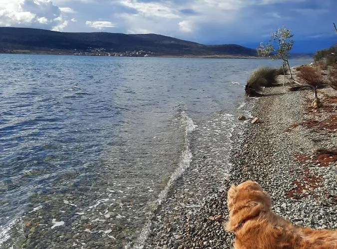 Appartement Amanda C